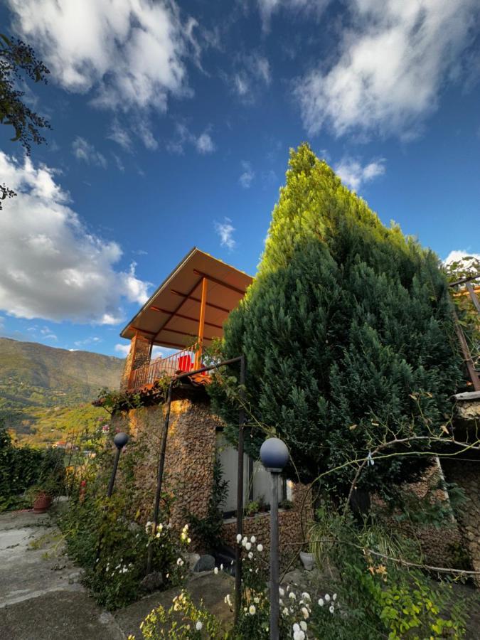 Ballkon Turi Tirana Exterior foto